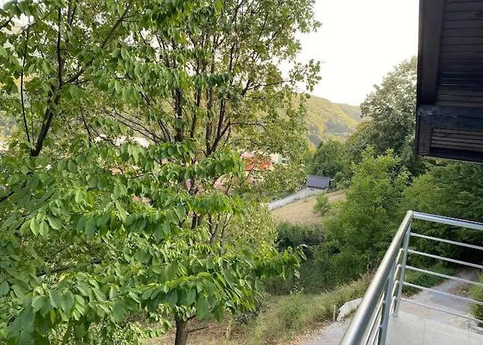 Balic * 塞拉耶佛